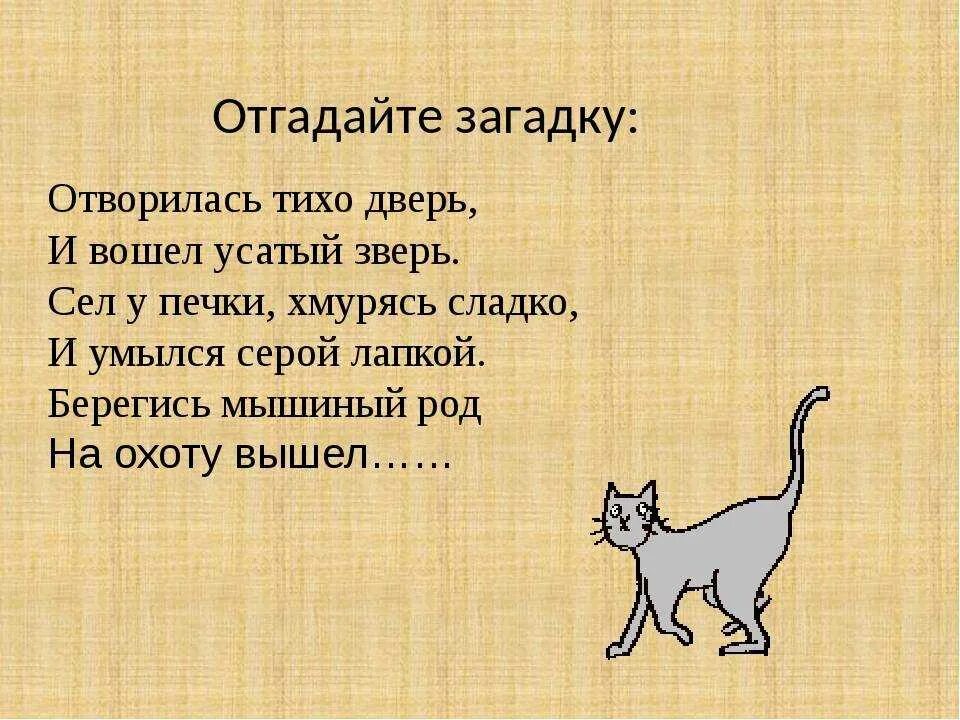 Какой котик ответ