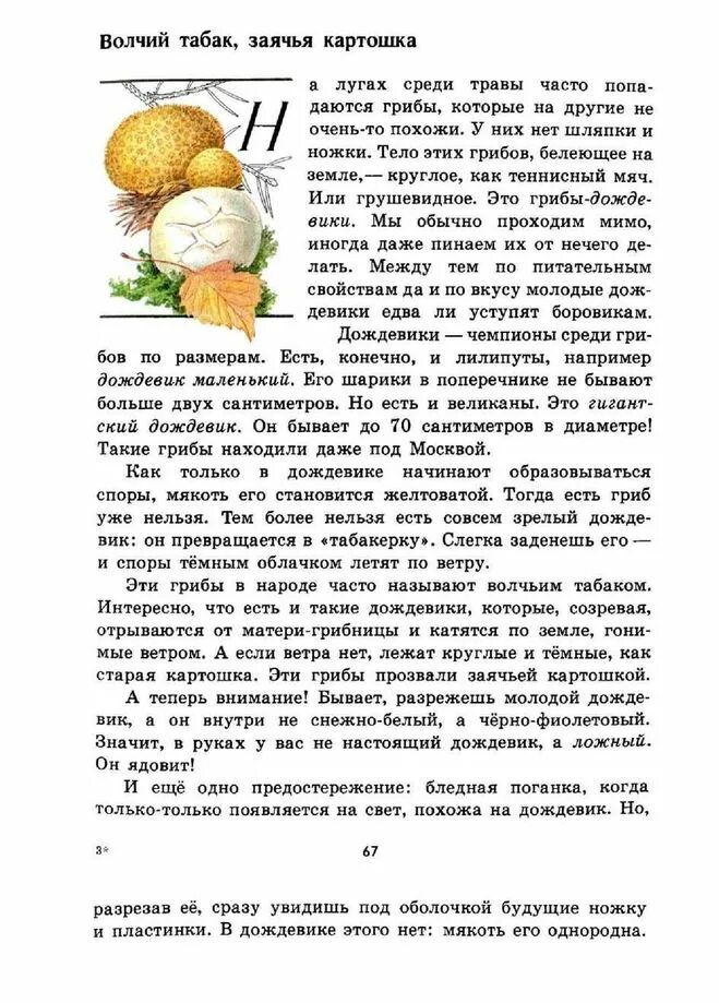 книга зеленые его величество боровик. хрестоматия по экологии для начальной школы. книга зеленые страницы его величество боровик. рассказ его величество боровик зеленые страницы 3 класс. плешаков зеленые страницы 3 класс о грибах.