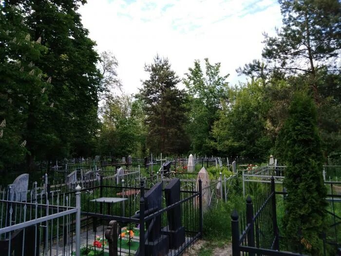 Харьковское кладбище. Харьковское кладбище. Украинские кладбища. Харьков кладбище 17. Кладбище в харькове.