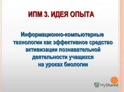 Информационный опыт
