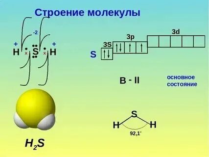 H2s связь и образование