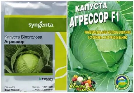 Агрессор описание