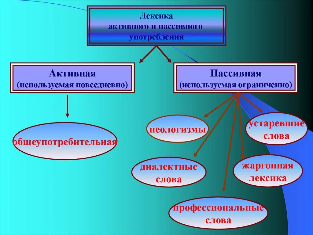 Лексика которая употребляется в. Устаревшие диалектные профессиональные слова. Активно используемая и пассивно используемая лексика. Активная и пассивная лексика. Активная лексика в русском языке.