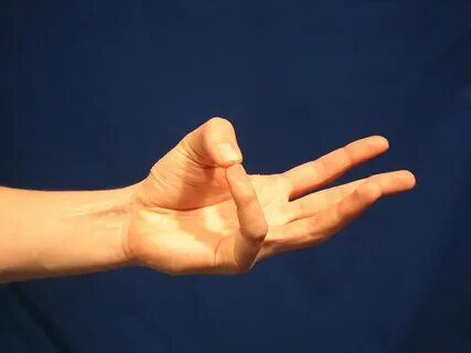 10 fingers