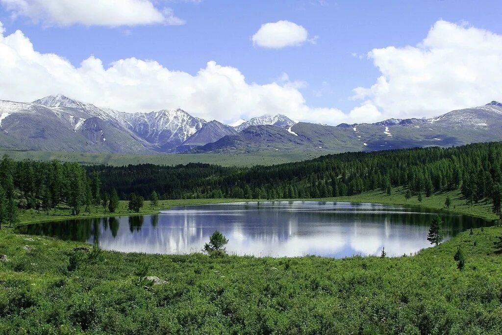 Алтай в какой части россии. Алтайский край. Озеро Киделю горный Алтай. Озера Улаганского плато. Озеро Алтайское Алтайский край.