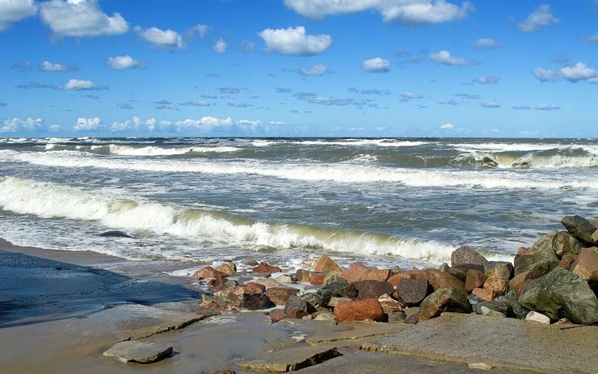 Зеленоградск побережье Балтийского моря. Берег Балтийского моря Зеленоградск. Балтийское море пляж Зеленоградск. Волна зеленоградск