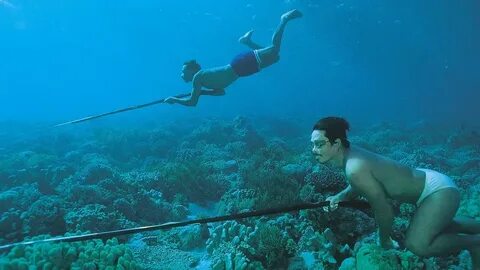 Включи dive in