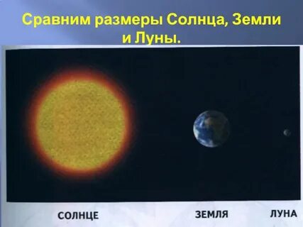 Солнце и земля размеры сравнить