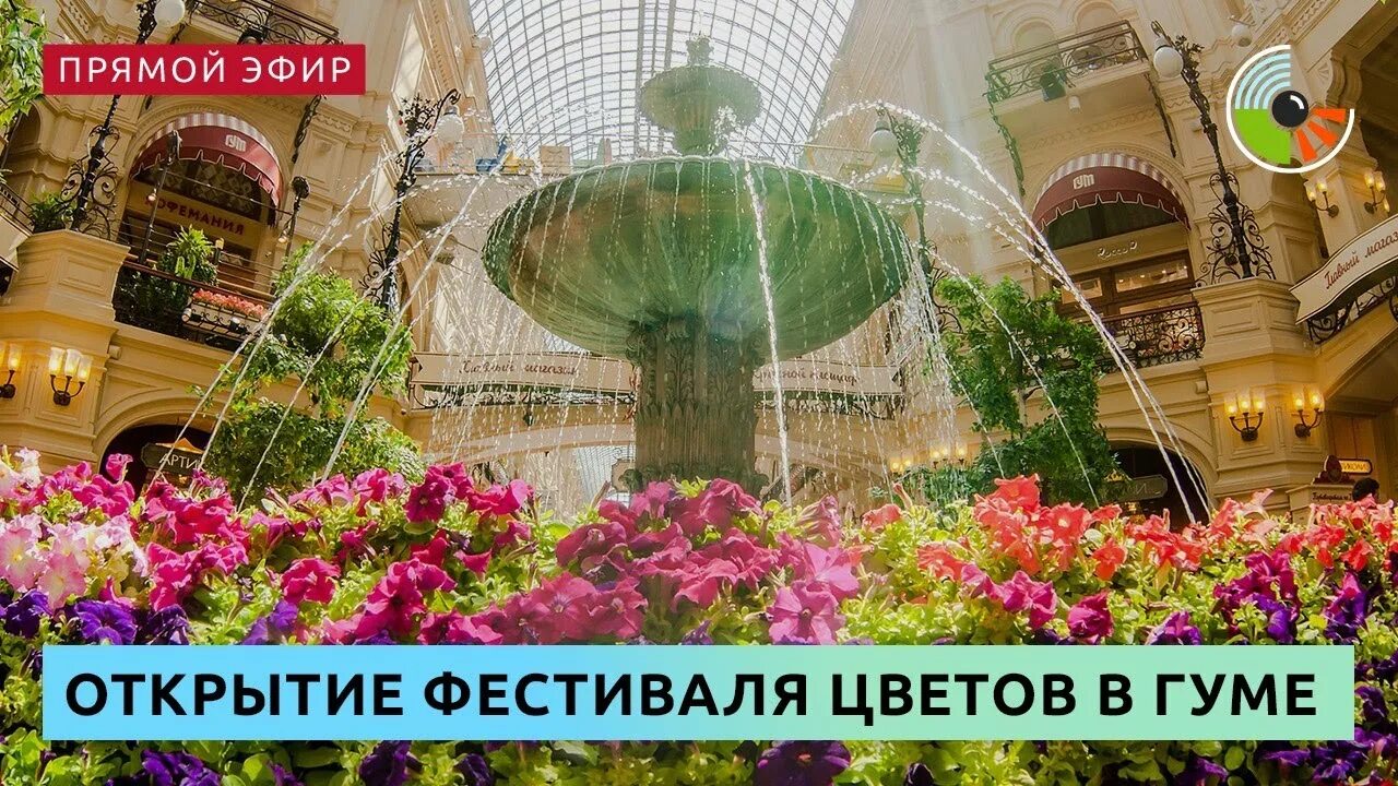 Фестиваль в гуме. Гум цветочный фестиваль 2025. фестиваль цветов в гуме. гум выставка цветов. цветочный джем в гуме.