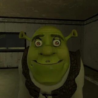 Шрек туалет