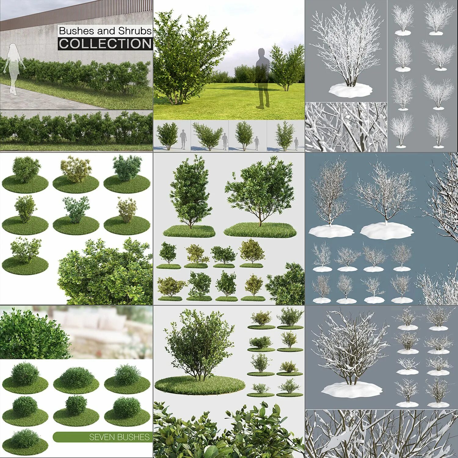 3d модель дерева скетчап. Bushes and shrubs collection 3d model. Стилизованные кусты. Архитектурные кусты.