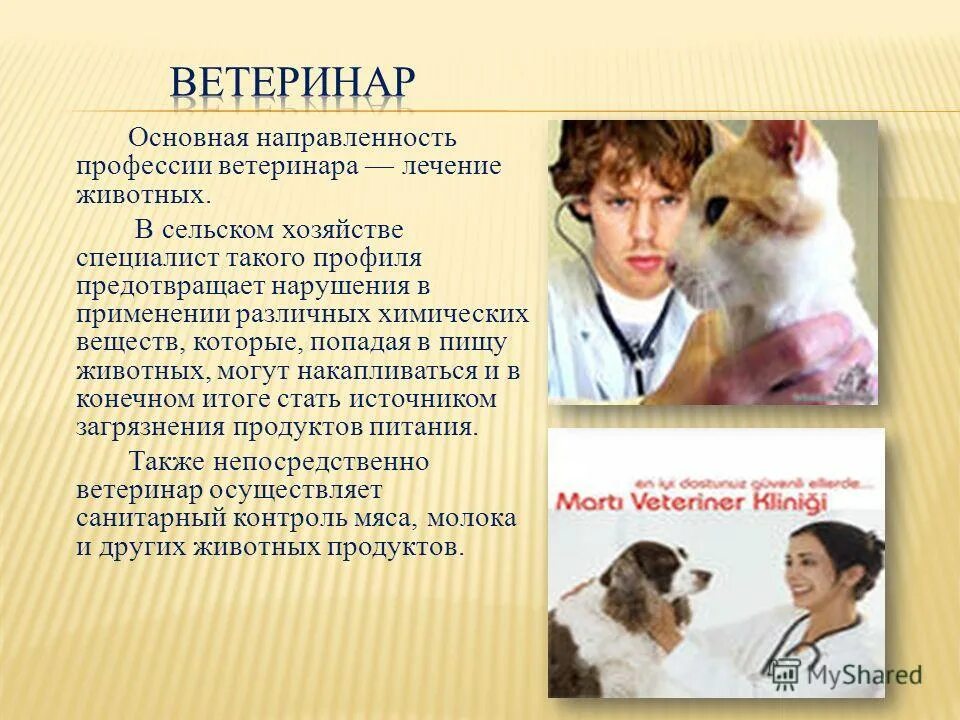 Специальности профессии ветеринар. Профессия ветеринар. Презентация по профессии ветеринар. Проект профессия ветеринар. Цель ветеринара