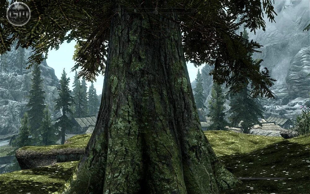 Ретекстур дерева скайрим. Skyrim 8k. Роща глубокая тень скайрим. Скайрим дерево. Trees skyrim