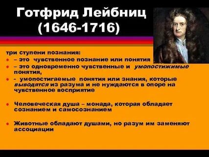 Интересные факты о философии