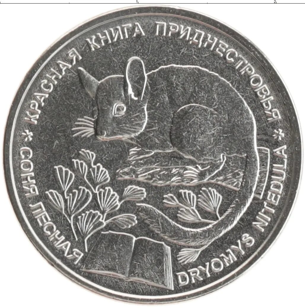 Приднестровье красная книга фото. Монеты пмр. Красная книга приднестровья. Красная книга приднестровья птицы. Красная книга приднестровья.