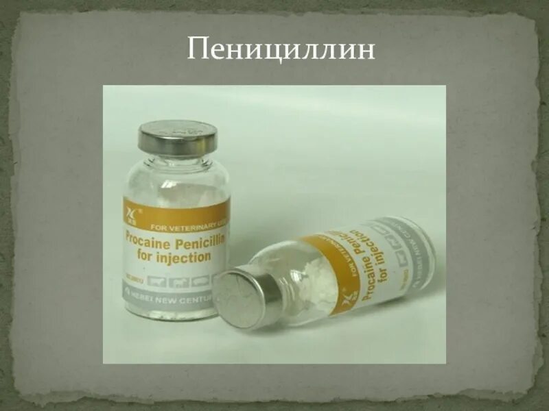 Пенициллин от чего. Комплекс пенициллин. введение пенициллина. производство пенициллина.