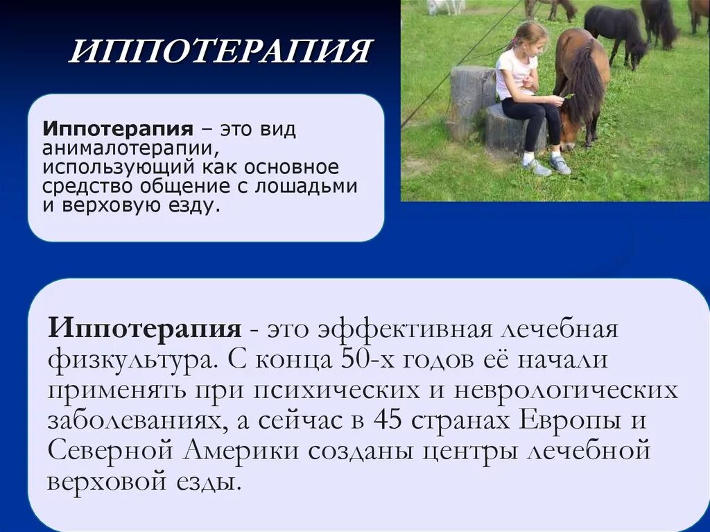 Иппотерапия что это такое. Иппотерапия на лошади. иппотерапия. лечебная верховая езда. иппотерапия для детей. метод иппотерапии.
