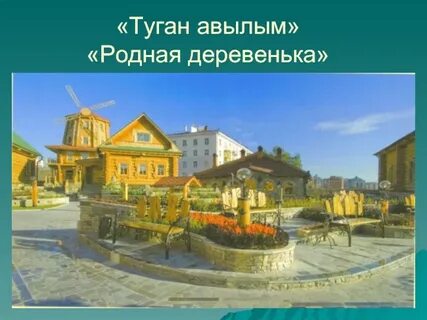 Проект туган