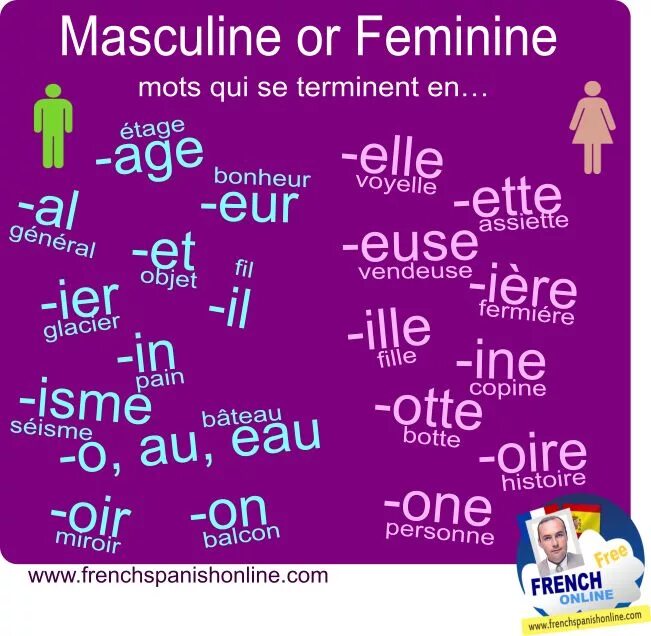 Английское слово пол. Masculine \feminine Words. Цвет волос на французском языке. Words in French. Feminine Ending French.