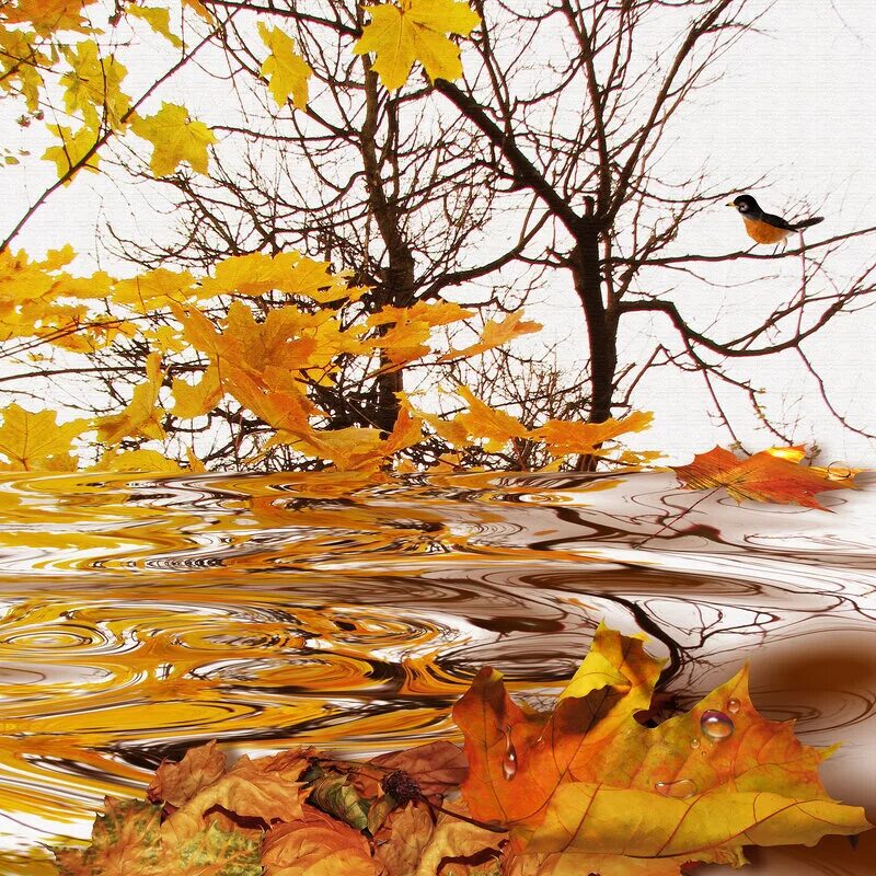 Лист на ветру. Картина падающие листья. Картина листопад с падающими листьями. Живопись падающих листьев осенью. Осенний ветер срывает листья