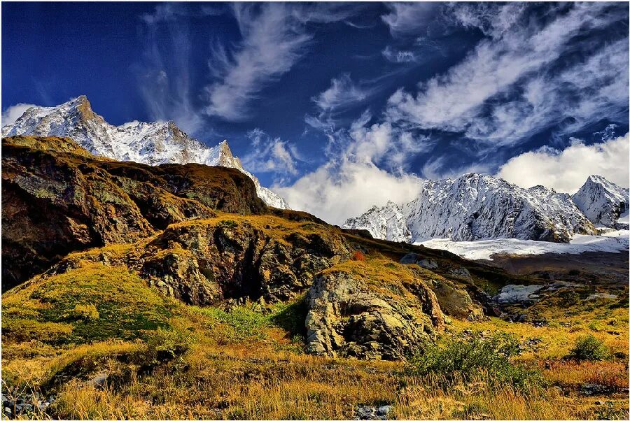 Meat market logo. Dream core горы. Climbing brothers. Mountains dreams. Climbing brothers.