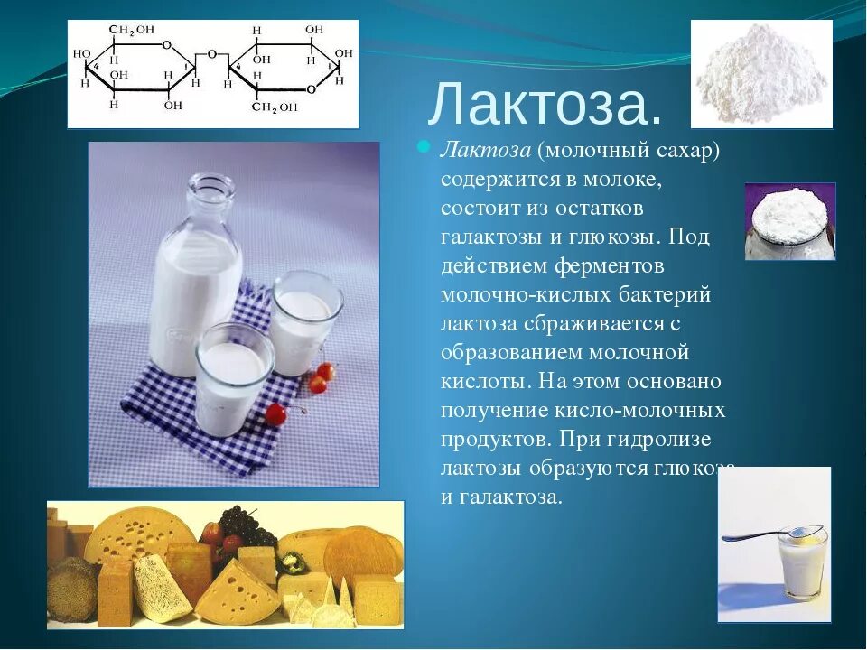 Количество лактозы в молочных продуктах. Лактоза. Лактоза в молочных продуктов. Лактоза молочный сахар. Лактоза и молочнокислые бактерии.