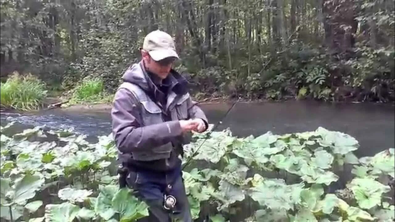 Рыбалка на хариуса Пермь. Хариус в Пермском крае. Хариус река Волга. Кутамыш река. Рыбалка в крае видео