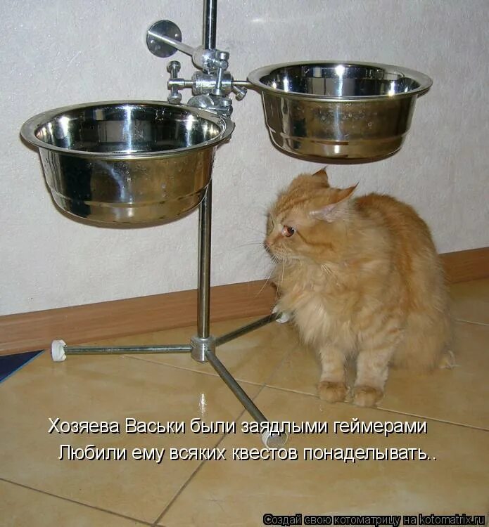 хозяин васьки злится что мышь. кот ест рыбу. хозяин васьки злится что мышь. Brain test 2 приключения васьки 10 уровень. кот с мышью в зубах.