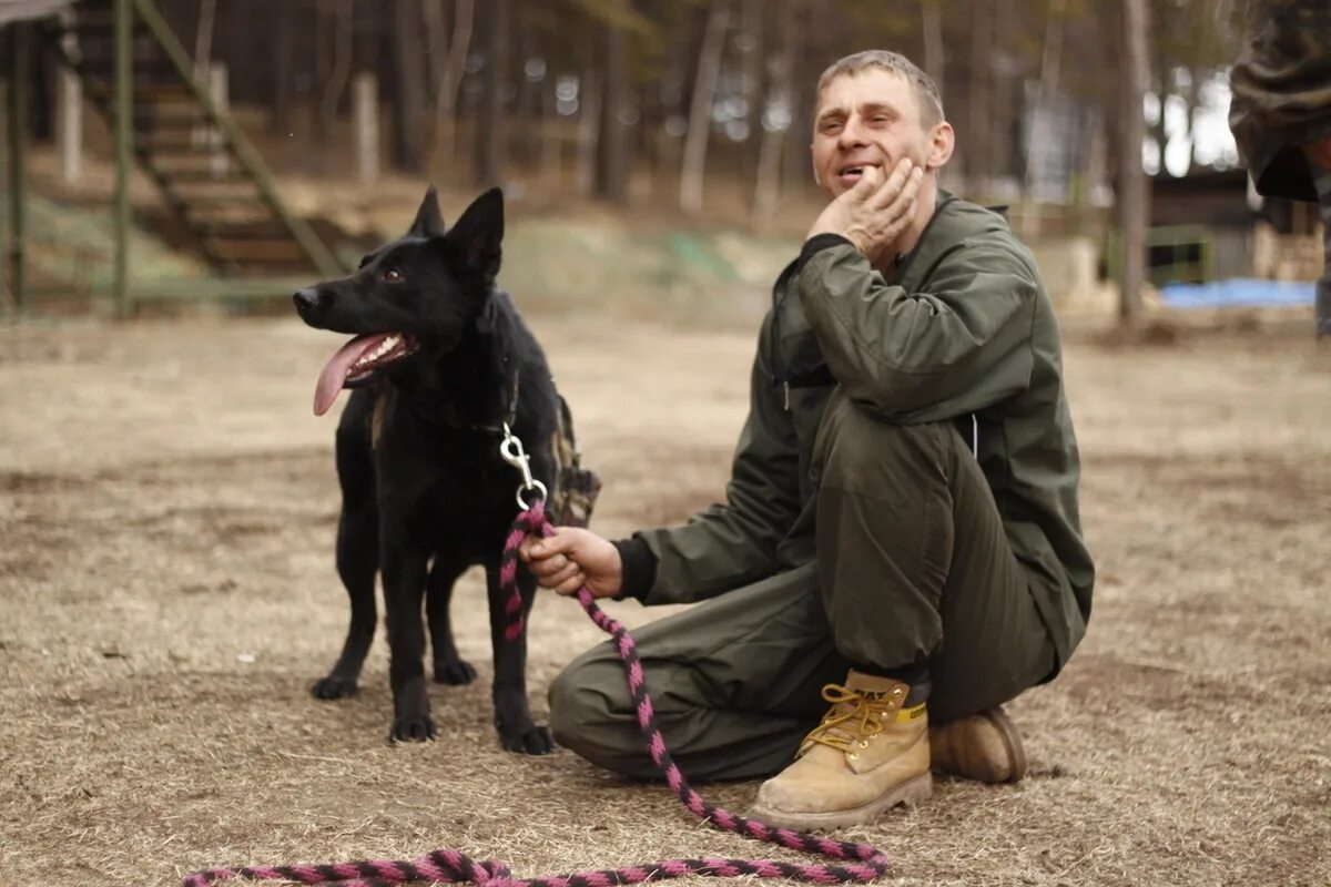 Питомник иркутск сайт. Приют к9 в Иркутске. К-9 питомник собак Иркутск. Директор к9 Иркутск. Питомник к9.