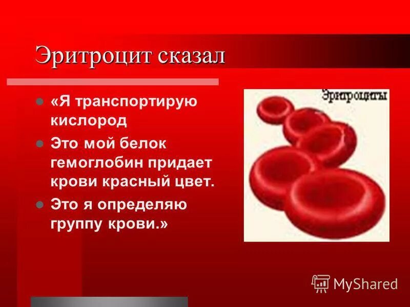Эритроциты транспортируют кислород. Эритроциты в крови. Эритроциты транспортируют. Эритроциты красные клетки крови.