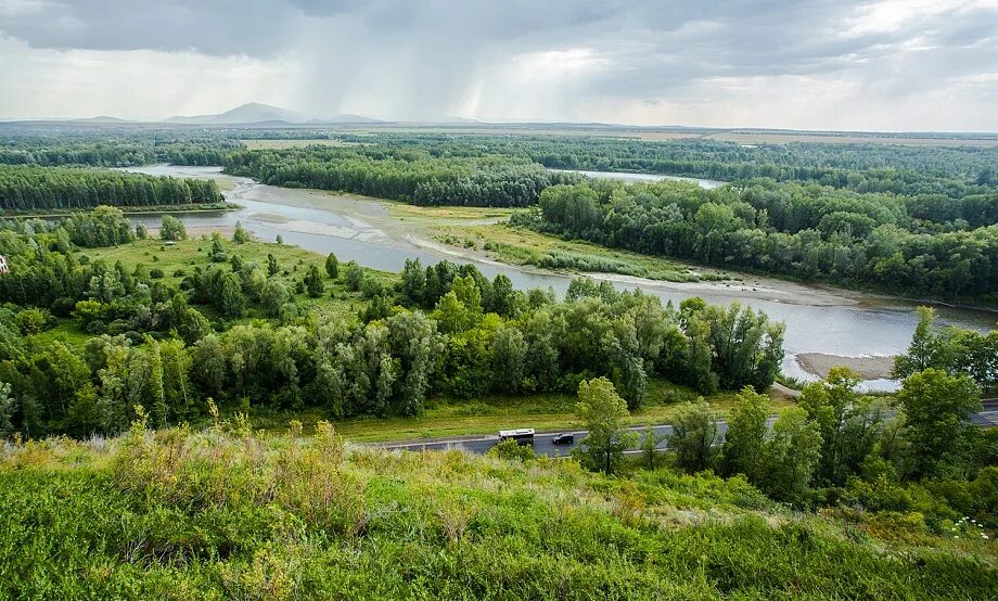 Обь село. Река Обь в Алтайском крае. Река Обь Бия Алтайский край. Белоярск Алтайский край. Алтайский край камень на Оби река.