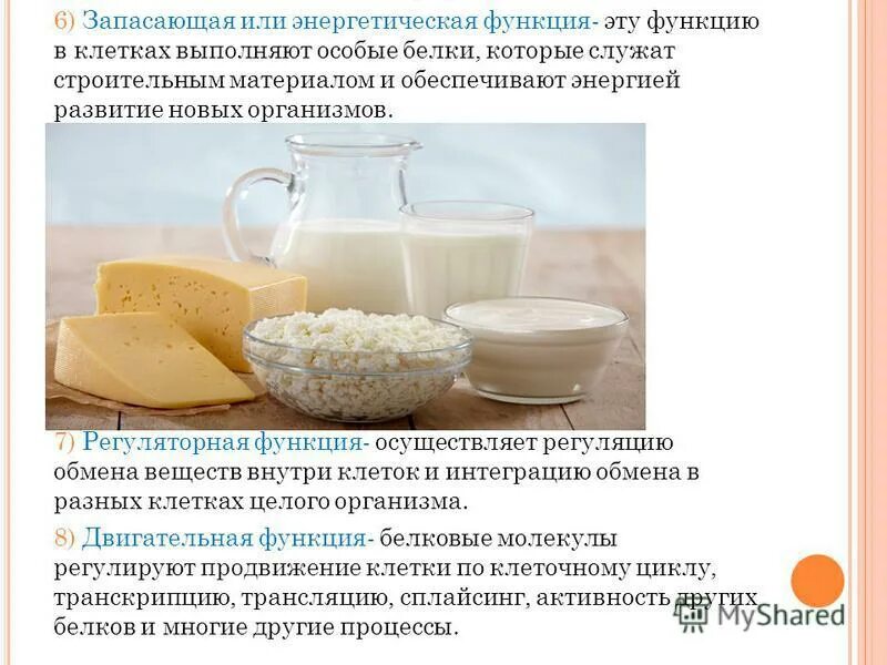 Белки выполняющие энергетическую функцию примеры Белки выполняющие энергетическую функцию: найдено 87 картинок