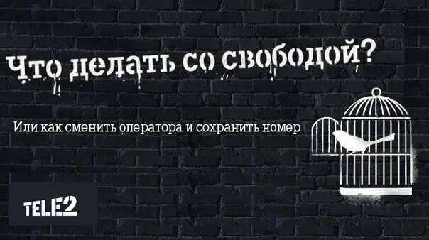 Сменить оператора с сохранением номера теле2. Переходи в теле2 со своим номером. что такое мнп в теле2. переход со своим номером в теле2. перенос номера в теле2.