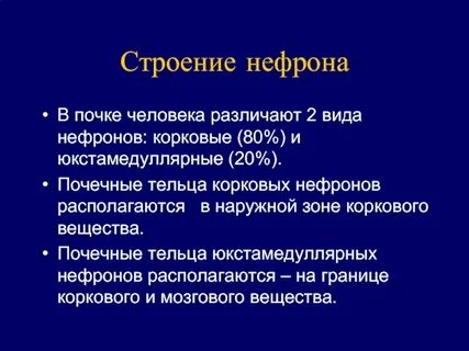 Обзор органов