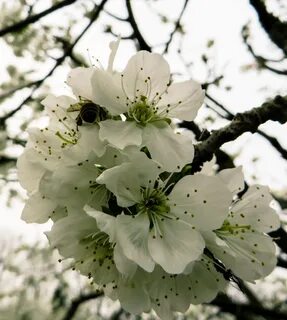 Spring awakens