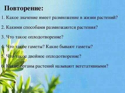 Какое значение размножения в жизни растений. Какое значение размножения в жизни растений