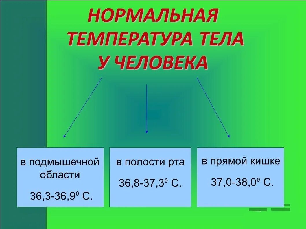 Нормальные значения температуры тела. Нормальная температура тела. Нормальная температура человека. Норма температуры у человека. Температура тела человека норма.