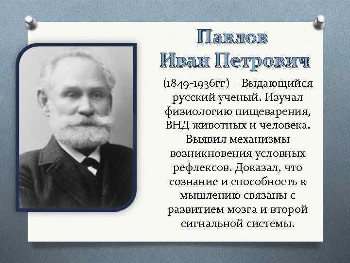 История развития физиологии пищеварения. Ученые изучающие физиологию растений. Почему ученые изучавшие