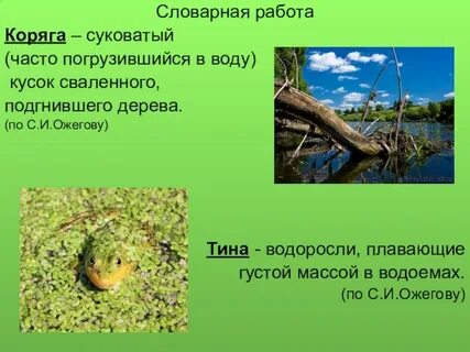 Вес водоемов