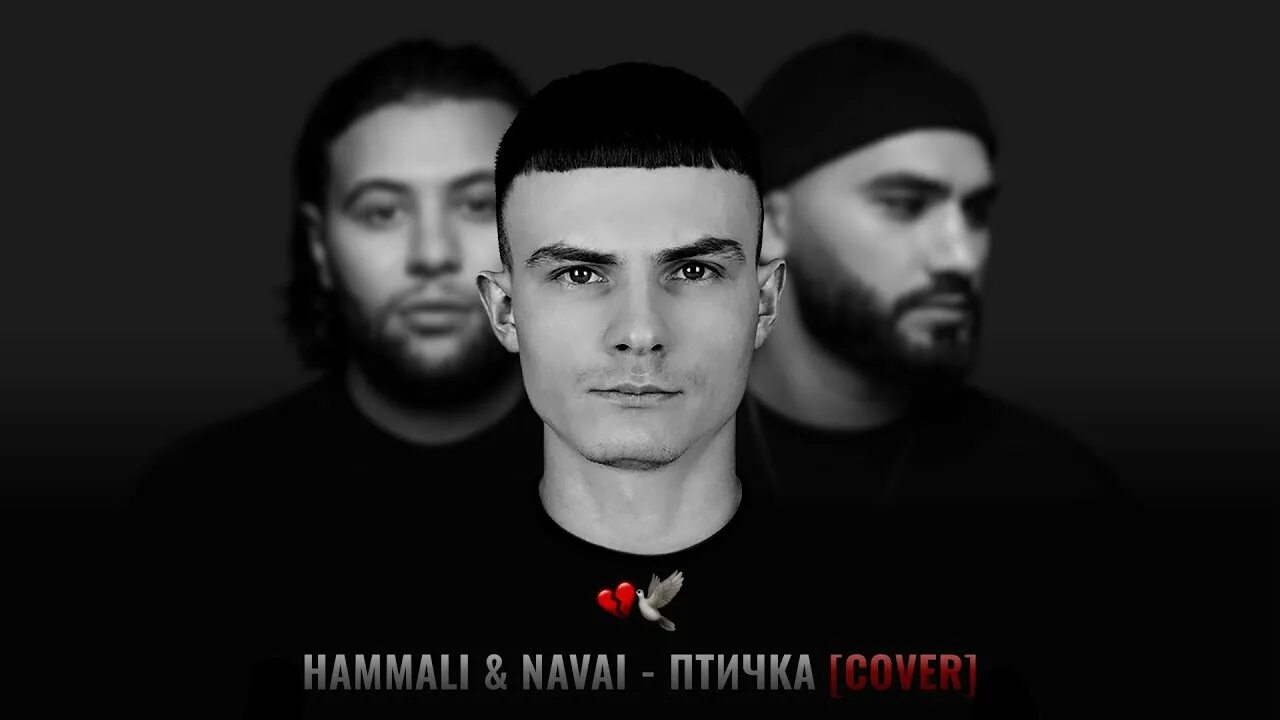 Птичка песня хамали наваи. Хамали и Наваи птичка. Птичка HAMMALI Navai. Группа HAMMALI & Navai. Птичка HAMMALI Navai обложка.