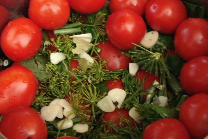 Помидоры под капроновой крышкой. Малосольные фаршированные помидоры. Помидоры на зиму. Помидоры соленые бочковые. Помидора холодным способом.