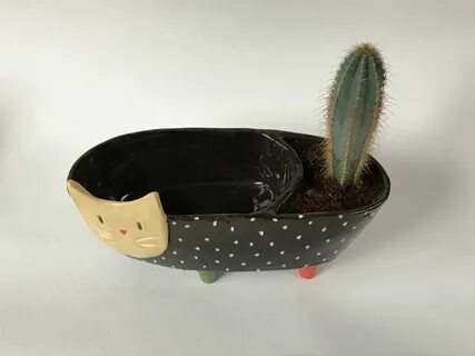 Коте горшок