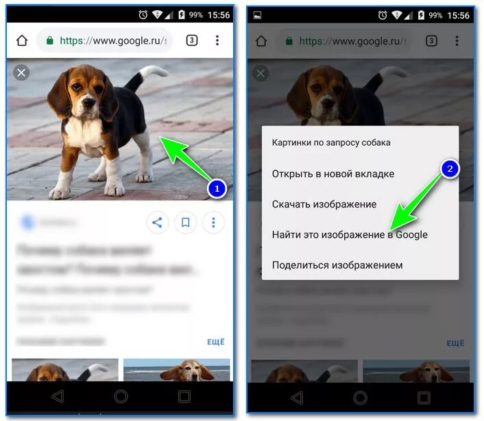 Искать похожие изображения по картинке. Поиск по картинке с телефона. Похожие картинки по фото с телефона. Как искать по картинке с телефона.