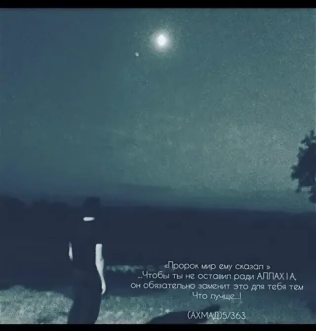 Странник над морем тумана каспар давид фридрих 1818. Путник 9. Странник идет по дороге. Сербские военачальники. Дух путник sky декабрь.