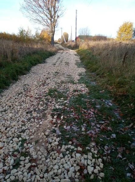 Венец Сосновский район Нижегородская область. Деревня венец Сосновский район Нижегородская область. С венец Сосновского района Нижегородской области. Рожковский сельсовет. Погода венец сосновский нижегородская