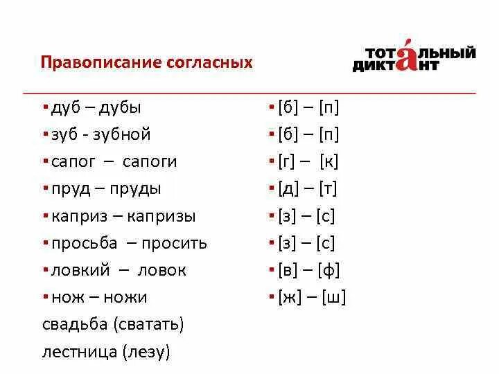 Разбор слова глухих. Звонкие и глухие в корне слова примеры. Звонкие и глухие согласные правописание. Чередование звонких и глухих. Звонкие и глухие слова примеры.