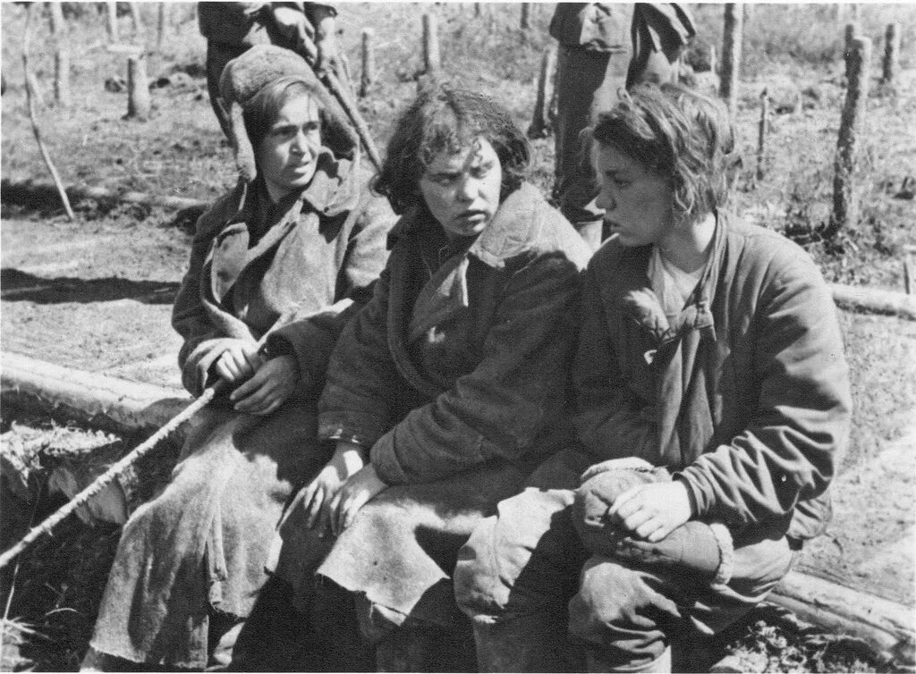 Мобилизация женщин в великую отечественную войну. Пленные женщины в Великой Отечественной войны 1941-1945. Пленные женщины на войне 1941-1945. Пленные немецкие женщины в ВОВ 1941-1945.