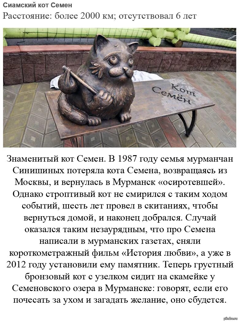 Кот из мурманска история. Памятник коту семёну в мурманске. кот семён мурманск рассказ. кот семён мурманск история. памятник коту семёну в мурманске история.