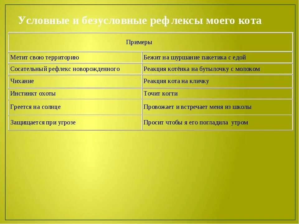 Примеры условных рефлексов у млекопитающих. Безусловные и условные рефлексы у человека. Условные рефлексы примеры. Условный и безусловный реф. Условие и безуслоаие рефлекции.