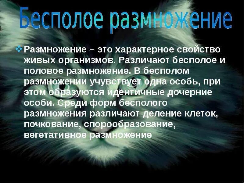 Размножение свойство живых организмов. Что случилось бы на земле если организмы перестали бы размножаться. Чтобы было на земле если бы организмы перестали размножаться. Что случится на земле если организмы перестанут размножаться.